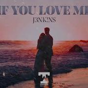 Jenkins If You Love Me Remix