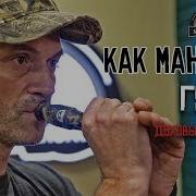 Белолобый Гусь Манок