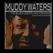 Rollin And Tumblin Muddy Waters