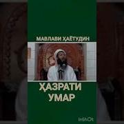 Мавлави Хаетудин Умар