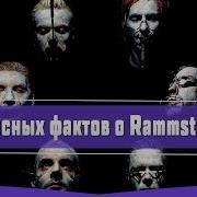 8 Фактов О Группе Рамштайн Rammstein