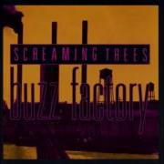 Screaming Trees Buzz Factory Full Album Hq Sound