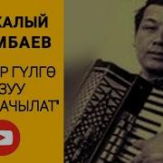 Айжамал Баскан Изин Башкалардан Кызганып