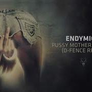 Endymion Pussy Motherfuckerz D Fence Remix