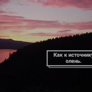 Как К Источнику Олень