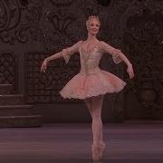 Nutcracker Royal Ballet Dance Of The Sugar Plum Fairy