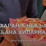 Хаза Ирсе Дахар Вайна Делла