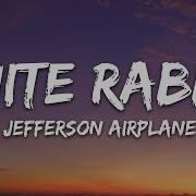 Amorfrodite White Rabbit