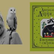 Говорящий Сверток Джеральд Даррелл 2 Аудиосказка Слушать Онлайн