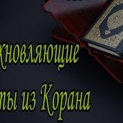 Отрывок Из Корана