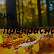 Осень Прекрасная Мсц Ехб