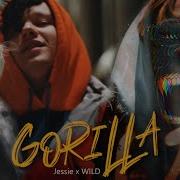 Jessie X Wild Gorilla