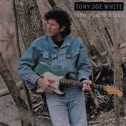 Lake Placid Blues Tony Joe White