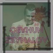 Ceyhun Mesafeler Yukle