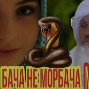 Зане Ки Бача Не Морбача Мезояд Эшони Алома