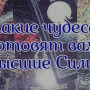 Какие Чудеса Готовят Вам Высшие Силы Гадание Онлайн На Таро