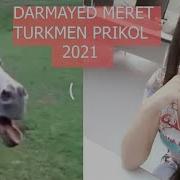 Darmayet Meret