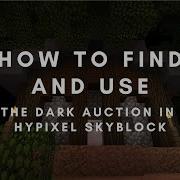 Hypixel Skyblock Dark Auction Guide