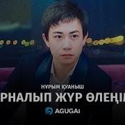 Нұрым Қуаныш Арналып Жүр Өлеңім 2016