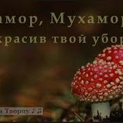 Музыка Мухоморы