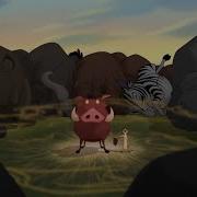 Pumba Power Gas