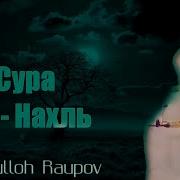 Сиратулло Раупов Сура Нахль