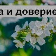 Рав Ронен Шаулов Израиль 2015 Вера И Доверие Б Г Кто На Самом Деле Верят В Бога