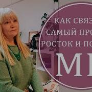 Самый Простой Росток И Подрезы Мк