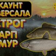 Русская Рыбалка Rr4 Карп Амур Линь 18