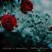 Where The Wild Roses Grow Techno Remix