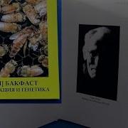 Анонс Книги Брат Адам Бакфаст Селекция И Генетика Часть I The