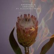 Anderholm Alexandra Pride Unbound Folding