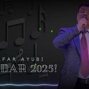 Зафар Аюби 2025 Суриди Модар