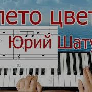 Ю Шатунов А Лето Цвета Синтезатор
