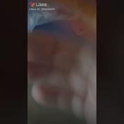 Школа Кола Ола Я Ла Ла Ла Аааааа