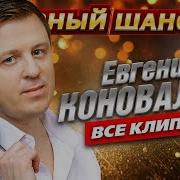 Евгений Коновалов Выступление