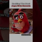 The Joke Angry Birds