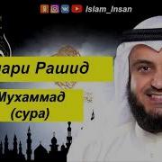 Сура Мухаммад Мишари Рашид