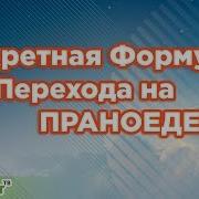 Секретная Формула Перехода На Праноедение Живое Питание От Адель Сергеенковой