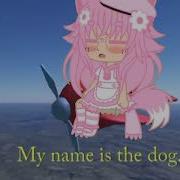 Dog Of Wisdom Meme With Gacha Life