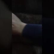 Шубка Цвет Соболь Английский Воротник
