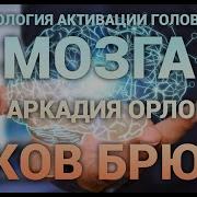 Гипноз Для Активации Головного Мозга От Аркадия Орлова