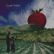 Leah Nobel Strawberry Fields