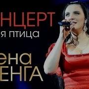 Елена Ваенга Белая Птица Концерт