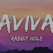 Aviva Rabbit Hole Lyrics