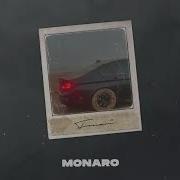 Monaro Фонари