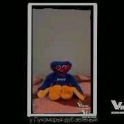 Котики В Школе Новенький Rytp