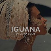 Ultra Beats Iguana Reggaeton Instrumental Скачать