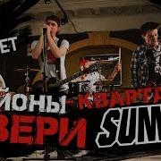 Районы Кварталы Cover На Звери Sum 41