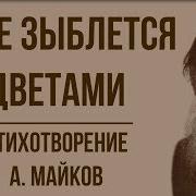 Поле Зыблется Цветами Майков